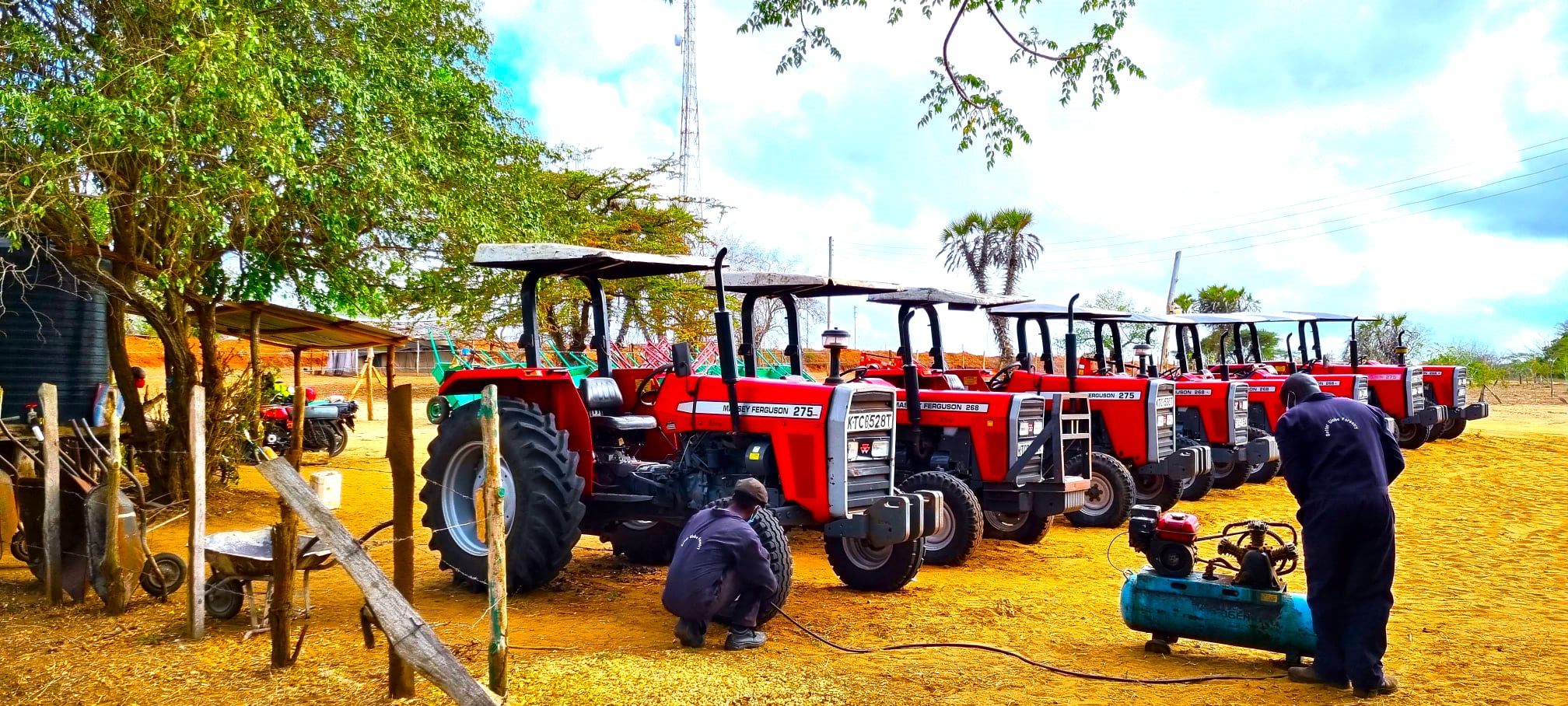 Dokolo Plantation